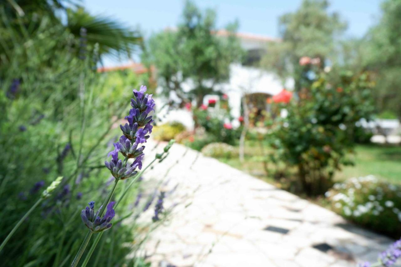 Apartment Ponos Krk Town Zewnętrze zdjęcie