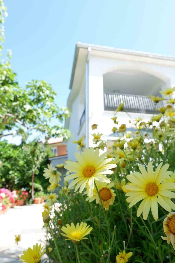 Apartment Ponos Krk Town Zewnętrze zdjęcie